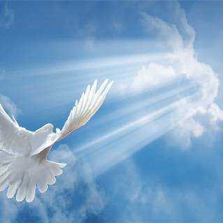 Rest in heaven wallpaper