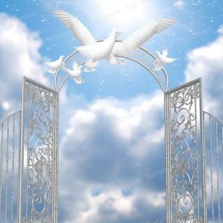 Rest in heaven wallpaper