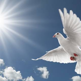 Rest in heaven wallpaper