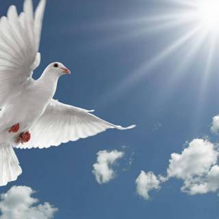 Rest in heaven wallpaper