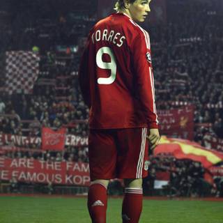Torres iPhone wallpaper