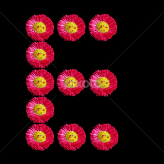 Pink letter E wallpaper