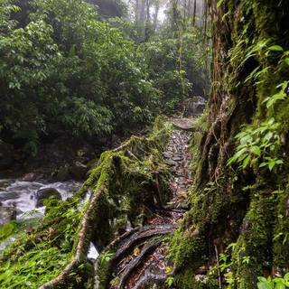 Cherrapunji wallpaper