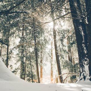 Snow 4k iPhone wallpaper