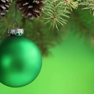 Green Xmas pine wallpaper
