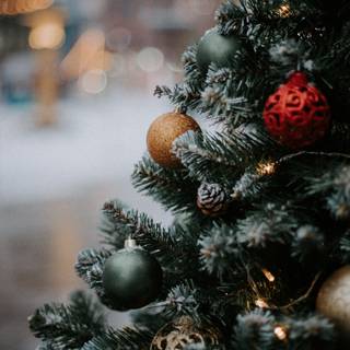 Green Xmas pine wallpaper