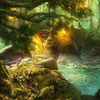 Fairytale forest wallpaper