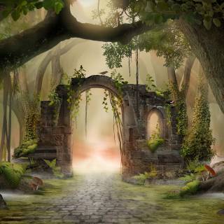 Fairytale forest wallpaper