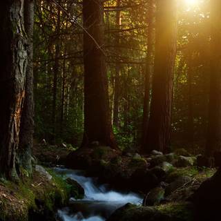 iPhone 6 HD 4k wallpaper