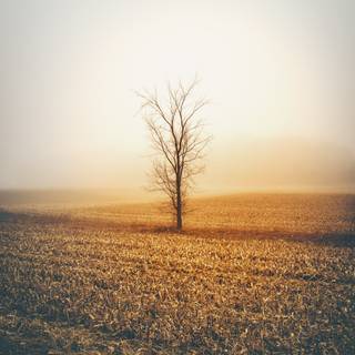 iPhone 6 HD 4k wallpaper