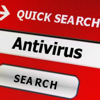 Search bar wallpaper