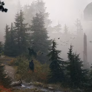 4k foggy wallpaper
