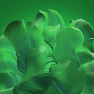 Windows 11 4k PC wallpaper