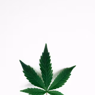 Marihuana 4k wallpaper