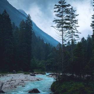 Natural 4k iPhone wallpaper