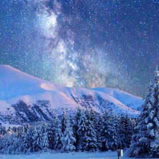 Snow 4k iPhone wallpaper