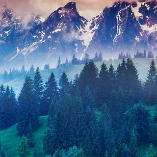 Natural 4k iPhone wallpaper