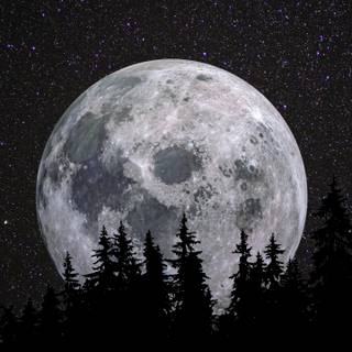 Black night 4k wallpaper