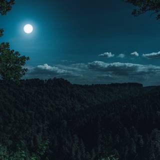 Black night 4k wallpaper