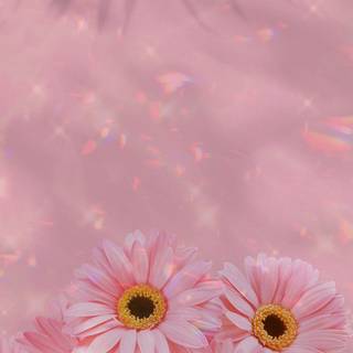 Aesthetic cute phone wallpaper