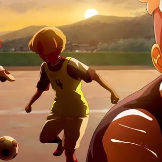 Inazuma Eleven: Victory Road of Heroes wallpaper