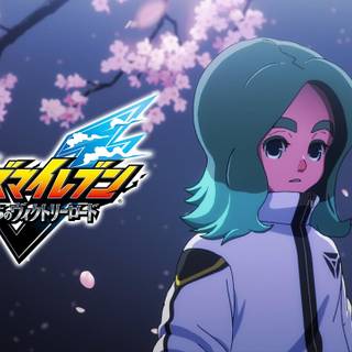 Inazuma Eleven: Victory Road of Heroes wallpaper