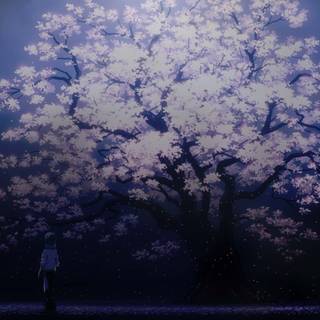 Inazuma Eleven: Victory Road of Heroes wallpaper