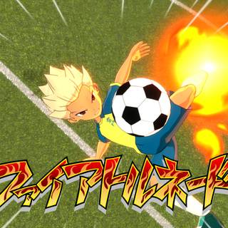 Inazuma Eleven: Victory Road of Heroes wallpaper