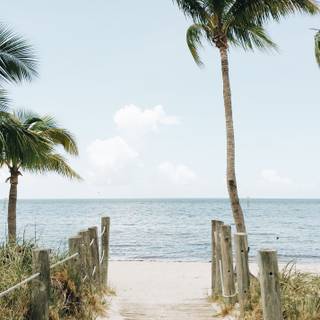 Sea breeze wallpaper