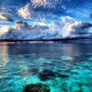 Sea breeze wallpaper