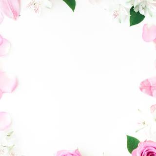 Floral borders wallpaper