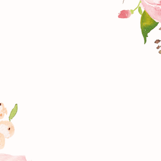 Floral borders wallpaper