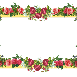 Floral borders wallpaper