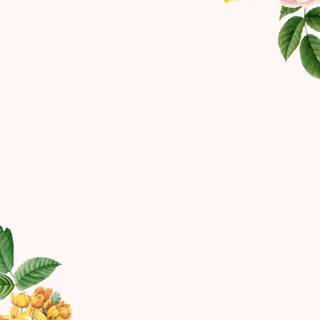 Floral borders wallpaper