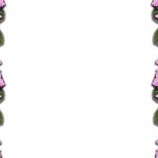 Floral borders wallpaper