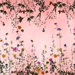 Floral borders wallpaper