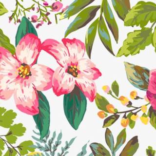 Floral borders wallpaper