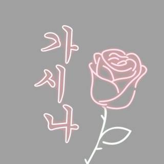 iPhone 13 grey wallpaper