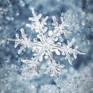 Winter vibes iPhone wallpaper