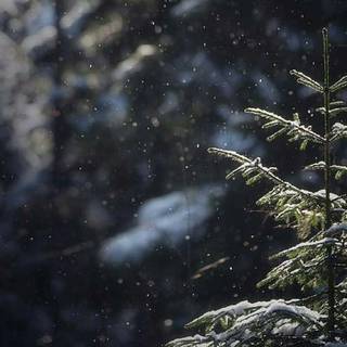 Winter vibes iPhone wallpaper