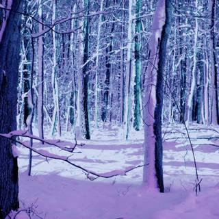 Trippy winter wallpaper