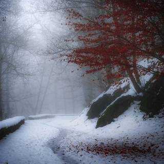 Book and winter wallpaper