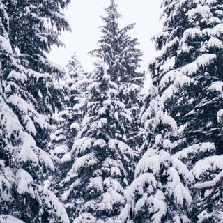 Cozy winter iPad wallpaper