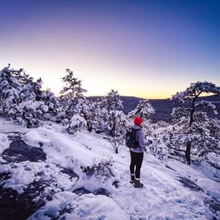 Winter hiker wallpaper