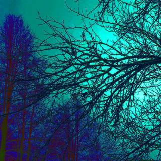 Trippy winter wallpaper