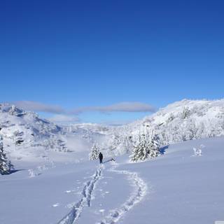 Winter hiker wallpaper