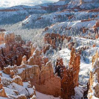 Winter hiker wallpaper