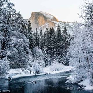 Winter hiker wallpaper