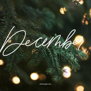 Christmas Day 2023 wallpaper