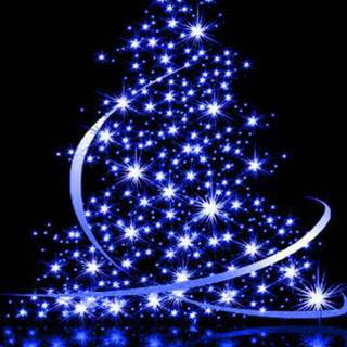 Blue Christmas trees wallpaper